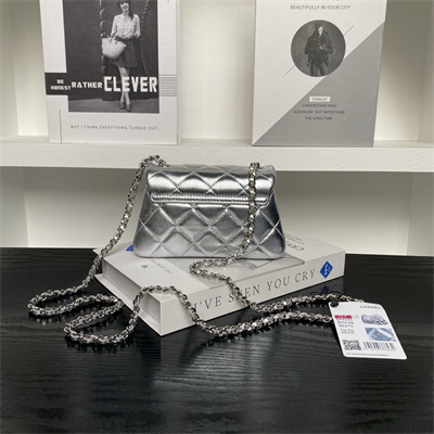 Chanel Mini FLAP PHONE HOLDER WITH CHAIN Lambskin Silver-Tone Metal Silver AP4593