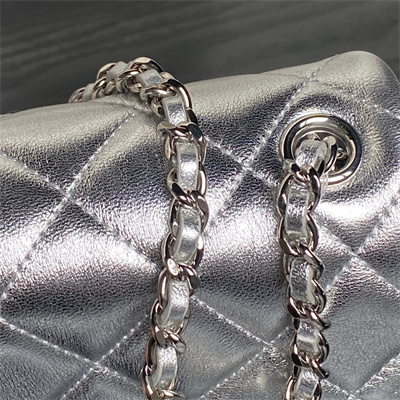 Chanel Mini FLAP PHONE HOLDER WITH CHAIN Lambskin Silver-Tone Metal Silver AP4593