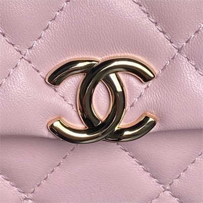 Chanel Mini FLAP PHONE HOLDER WITH CHAIN Lambskin Gold-Tone Metal Pink AP4593