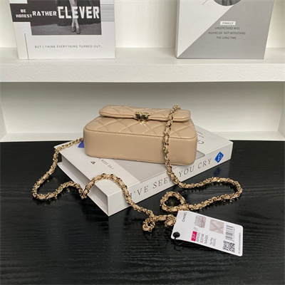 Chanel Mini FLAP PHONE HOLDER WITH CHAIN Lambskin Gold-Tone Metal Beige AP4593