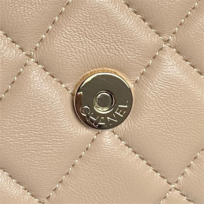Chanel Mini FLAP PHONE HOLDER WITH CHAIN Lambskin Gold-Tone Metal Beige AP4593