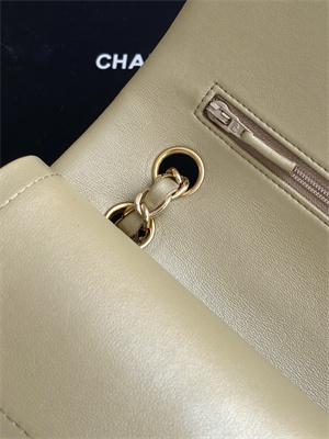Cha.nel Medium Classic Flap Bag With Pearl Gold Tone Metal AS1112