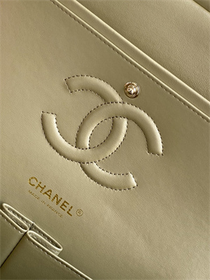 Cha.nel Medium Classic Flap Bag With Pearl Gold Tone Metal AS1112
