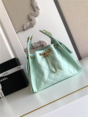 Chanel 25 Small Handbag Grained Calfskin Gold Tone Metal Lt Green AS5293