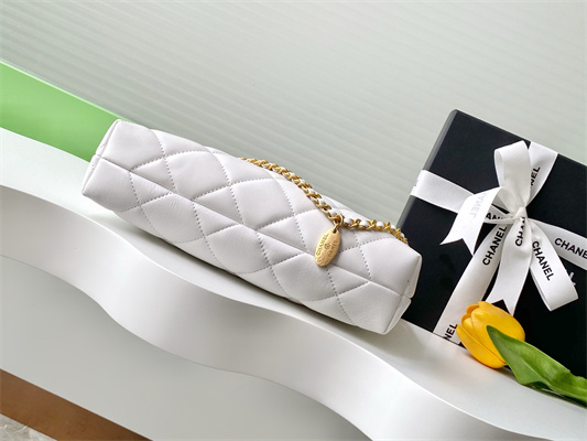 Chanel Hobo Bag Lambskin Gold Tone Metal White AS5528