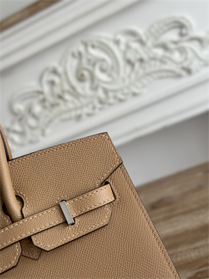 Bir.kin Sellier Bag Epsom Leather 25/30/35CM Gold Hardware In Chai Color HS
