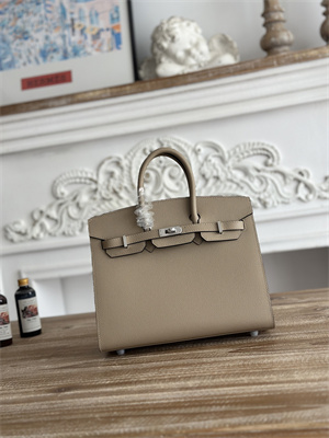 Bir.kin Sellier Bag Epsom Leather 25/30/35CM Gold Hardware In Trench Color HS