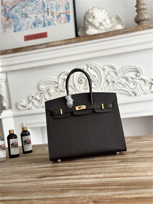 Bir.kin Sellier Bag Epsom Leather 25/30/35CM Gold Hardware In Cafe Color HS