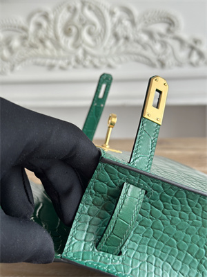 Kelly Pochette Bag Embossed Crocodile Gold Tone Hardware Dk Green HS