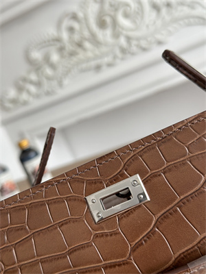 Kelly Pochette Bag Embossed Crocodile Silver Tone Hardware Brown HS