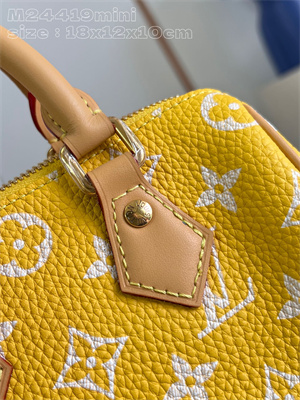 L.V Speedy P9  Bandoulière 18 Monogram Soft Calfskin Yellow