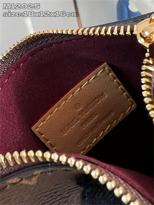 LV All In BB  Monogram Canvas White M12925