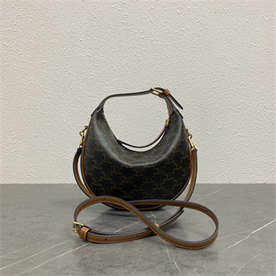 Celine Teen Lulu IN TRIOMPHE CANVAS AND CALFSKIN