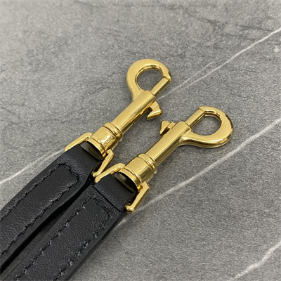 Celine Mini Bucket Louise IN Smooth Calfskin Black Color