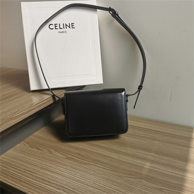 Celine Teen Triomphe Bag In Shiny Calfskin All Black Color