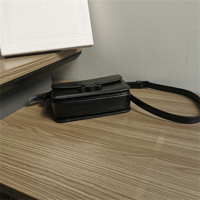 Celine Teen Triomphe Bag In Shiny Calfskin All Black Color