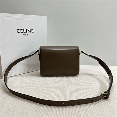 Celine Teen Triomphe Bag In Shiny Calfskin Dk Brown Color