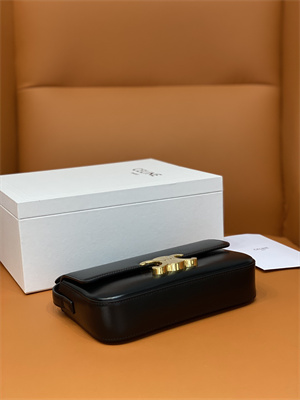 Celine Triomphe Shoulder Bag In Shiny Calfskin Black Color