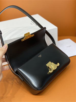 Celine Triomphe Shoulder Bag In Shiny Calfskin Black Color