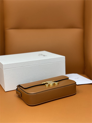 Celine Triomphe Shoulder Bag In Shiny Calfskin Brown Color