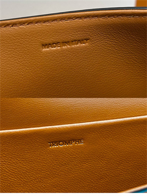 Celine Triomphe Shoulder Bag In Shiny Calfskin Brown Color