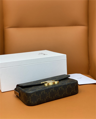 Celine Triomphe Shoulder Bag IN TRIOMPHE CANVAS AND CALFSKIN Tan