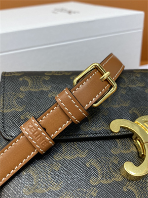 Celine Triomphe Shoulder Bag IN TRIOMPHE CANVAS AND CALFSKIN Tan