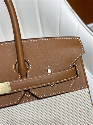 Bir.kin Bag Swift Leather & Canvas 25/30 Gold/Silver Hardware In Gold HS