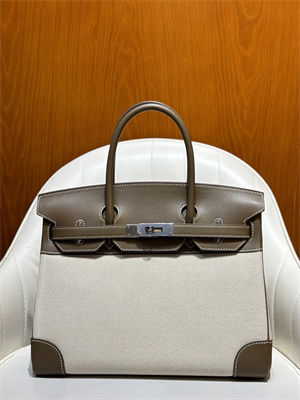 Bir.kin Bag Swift Leather & Canvas 25/30 Gold/Silver Hardware In Etoupe HS