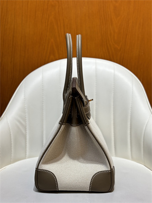 Bir.kin Bag Swift Leather & Canvas 25/30 Gold/Silver Hardware In Etoupe HS