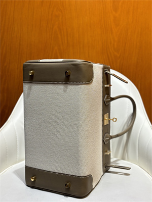 Bir.kin Bag Swift Leather & Canvas 25/30 Gold/Silver Hardware In Etoupe HS