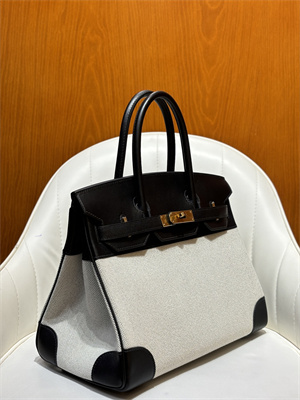 Bir.kin Bag Swift Leather & Canvas 25/30 Gold/Silver Hardware In Black HS