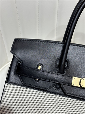 Bir.kin Bag Swift Leather & Canvas 25/30 Gold/Silver Hardware In Black HS