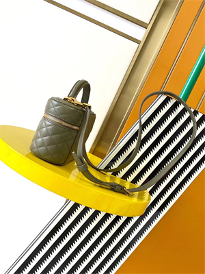 Y.S.L Vanity Case In Quilted Lambskin Green