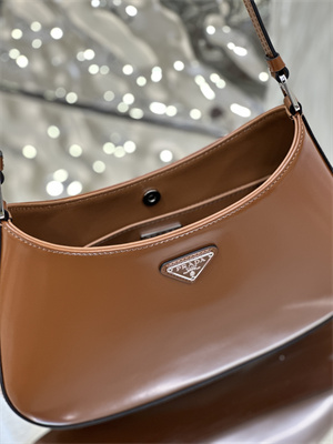 Prada Cleo Brushed Leather Shoulder Bag Brown 1BC499
