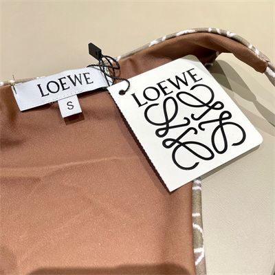 Loewe Swimsuits 38396