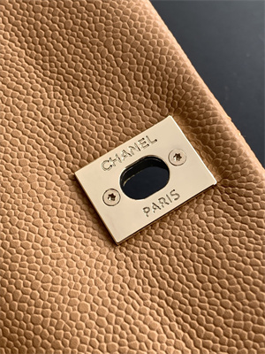 Cha.nel Duma Backpack Grained Calfskin Gold Tone Metal Brown AS3860