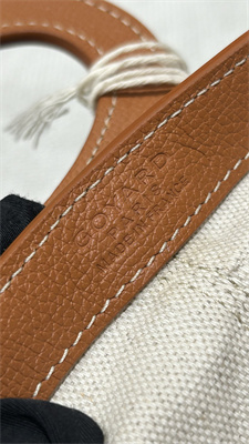 Goyard Beluga Mini Bag Goyardine Canvas & Chevroches Calfskin Black &Tan