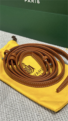 Goyard Beluga Mini Bag Goyardine Canvas & Chevroches Calfskin Black &Tan