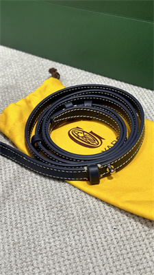 Goyard Beluga Mini Bag Goyardine Canvas & Chevroches Calfskin Navy Blue