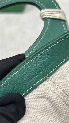 Goyard Beluga Mini Bag Goyardine Canvas & Chevroches Calfskin Green