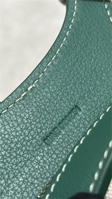 Goyard Beluga Mini Bag Goyardine Canvas & Chevroches Calfskin Green