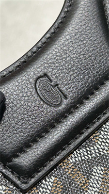 Goyard Beluga Mini Bag Goyardine Canvas & Chevroches Calfskin Black