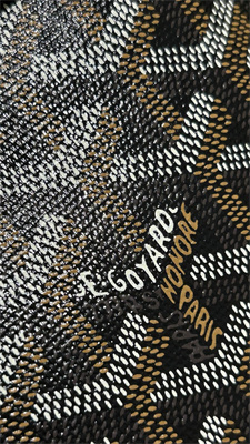 Goyard Beluga Mini Bag Goyardine Canvas & Chevroches Calfskin Black