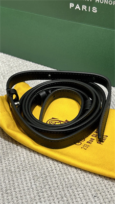 Goyard Beluga Mini Bag Goyardine Canvas & Chevroches Calfskin Black