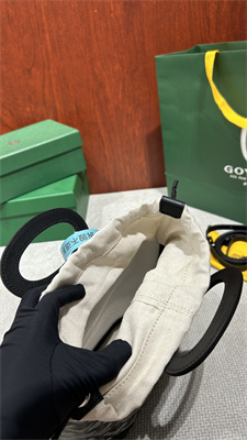 Goyard Beluga Mini Bag Goyardine Canvas & Chevroches Calfskin Black