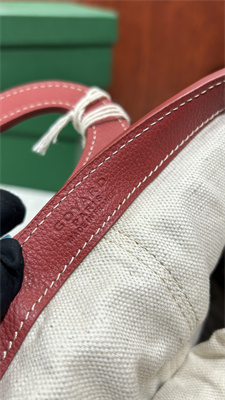 Goyard Beluga Mini Bag Goyardine Canvas & Chevroches Calfskin Red