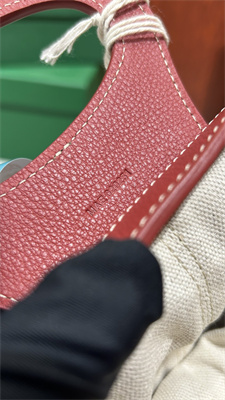 Goyard Beluga Mini Bag Goyardine Canvas & Chevroches Calfskin Red