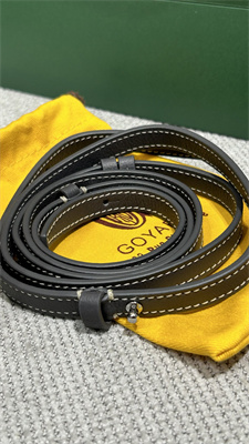 Goyard Beluga Mini Bag Goyardine Canvas & Chevroches Calfskin Grey