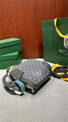 Goyard Beluga Mini Bag Goyardine Canvas & Chevroches Calfskin Grey